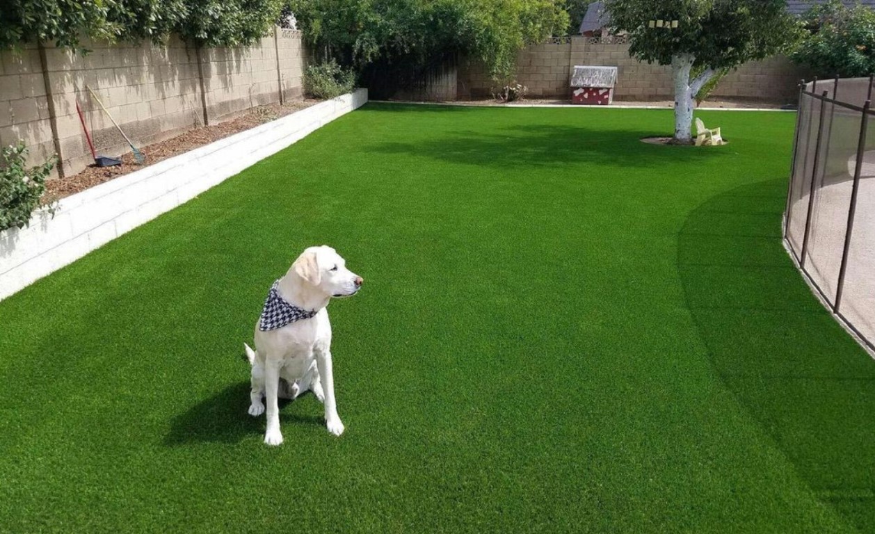 Pet-friendly artificial grass with advanced drainage system in New Haven, CT